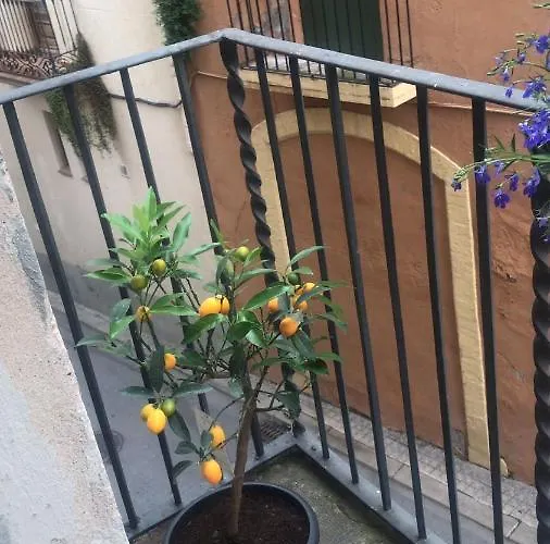 Δωμάτια σε οικογενειακή κατοικία Habitacio Polivalent Al Centre De *