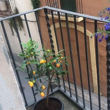 Homestay Habitacio Polivalent Al Centre De *